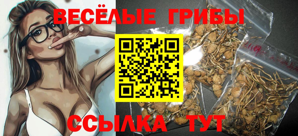 Галлюциногенные грибы прущие грибы  Вход с VPN  Северск 